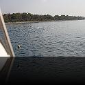 Comen Cup 2009 368